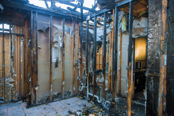 Professional Fire Damage Removal technician working in Raynham Center, MA